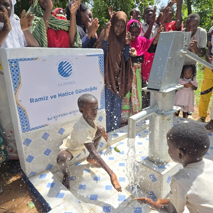 1000517843