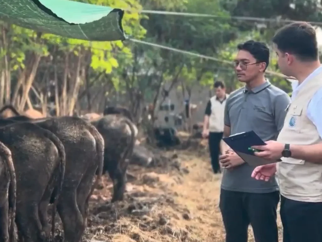 vacip kurban